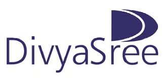 Divyashree NSL Infrastructure